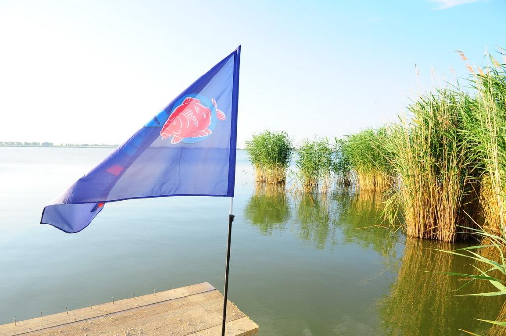 CN 2013-Corbu, CT, Lotul Overten - cnc1471.jpg